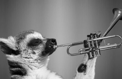 Blowing Your Trumpet: How To Take Credit For Your Work