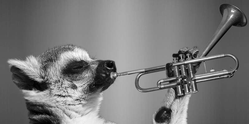 Blowing Your Trumpet: How To Take Credit For Your Work