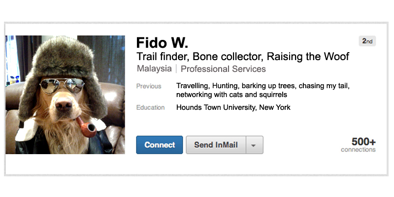 Linkedin profiles-the good, the bad, the ugly.
