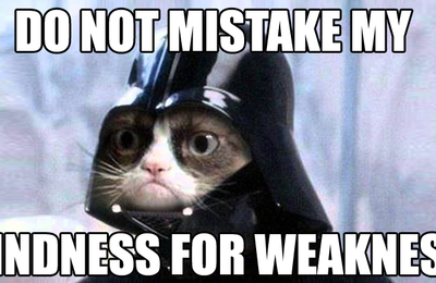 Do not mistake my kindness for weakness.