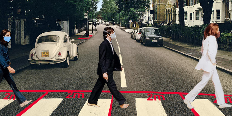 Beetles 1